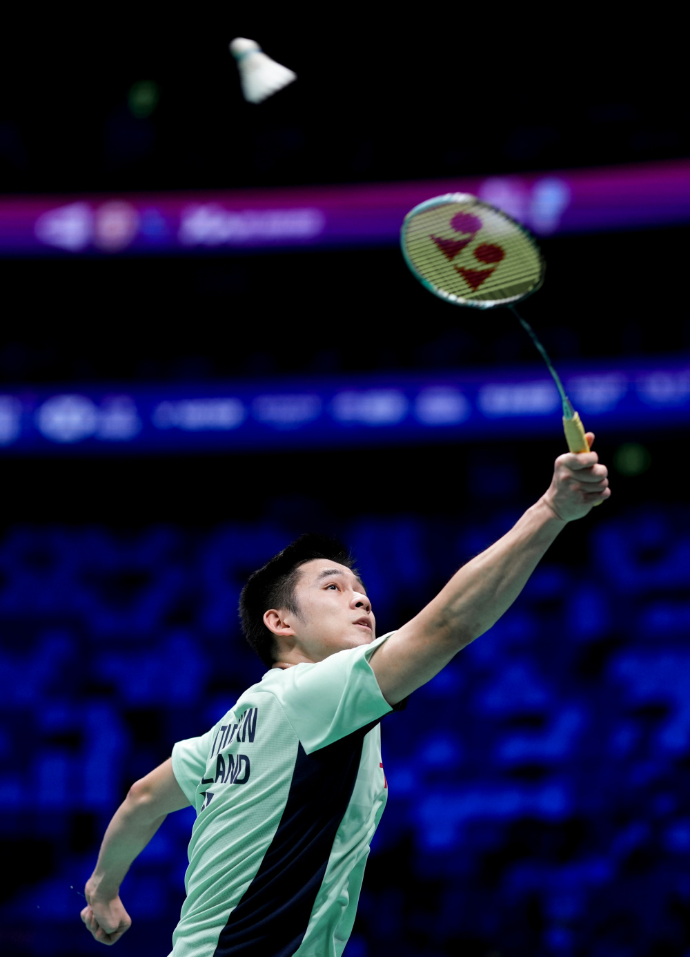 在对位国王 在对位国王